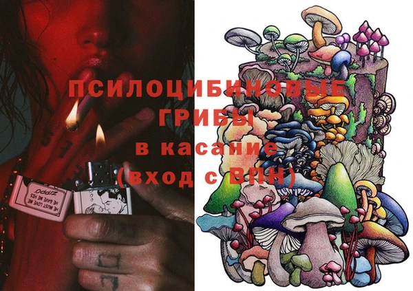 стаф Алексин