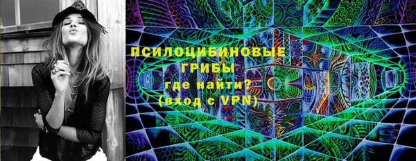 стаф Алексин