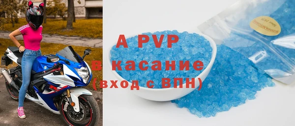 стаф Алексин