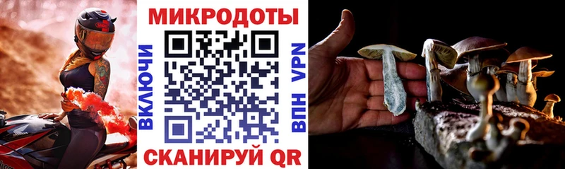 дарнет шоп  Краснознаменск  Псилоцибиновые грибы мухоморы 