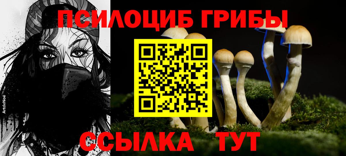 Галлюциногенные грибы мицелий Краснознаменск
