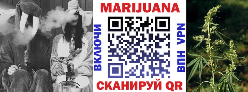 Бошки Шишки гибрид  где можно купить наркотик  Краснознаменск 